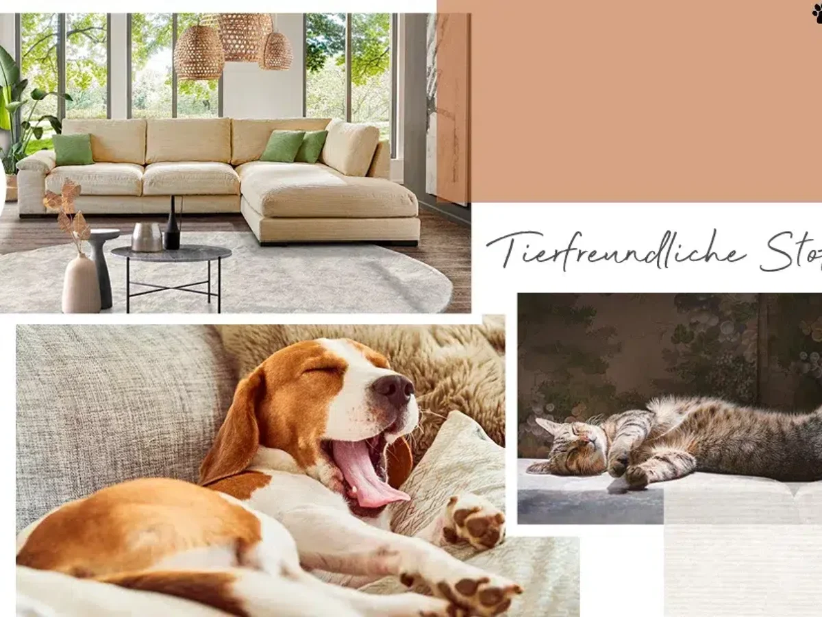 Welches Sofa fr Hund & Katze? Tierfreundliche Stoffe