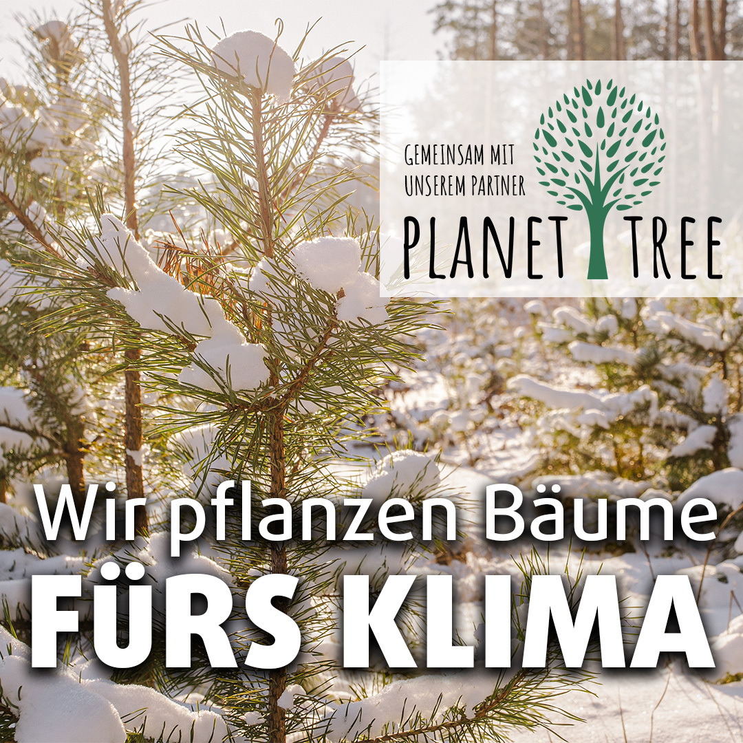 Verschneite Baumzweige und Umweltlogo "Planet Tree"