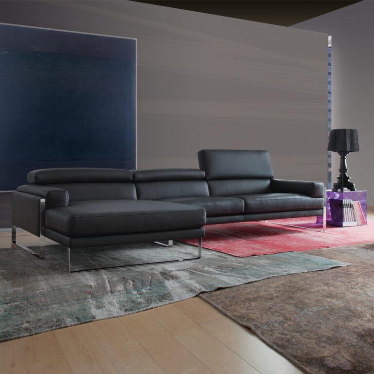 Modernes Wohnzimmer mit Ledersofa und Teppichen.