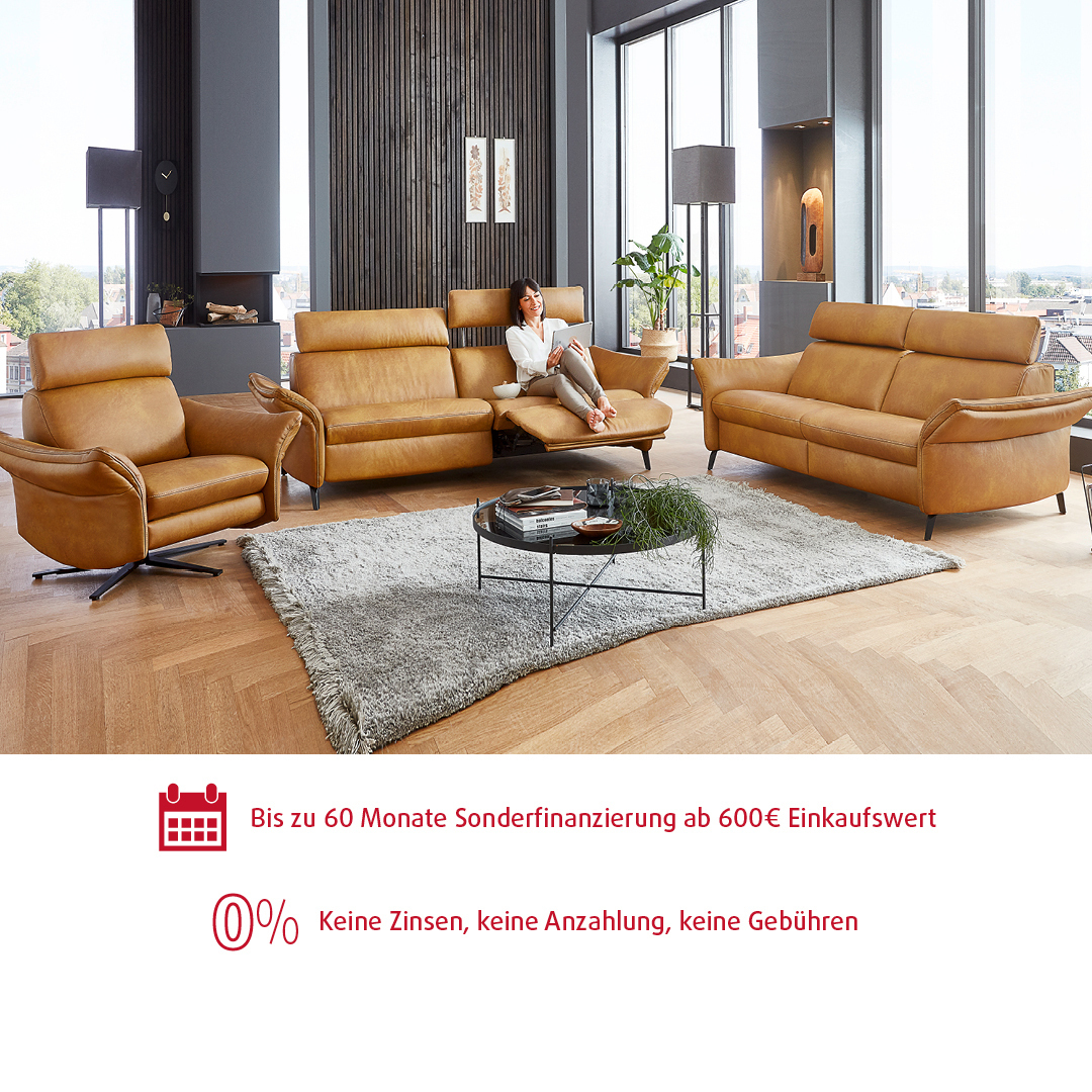 Modernes Wohnzimmer mit Ledercouch und Fensterblick.