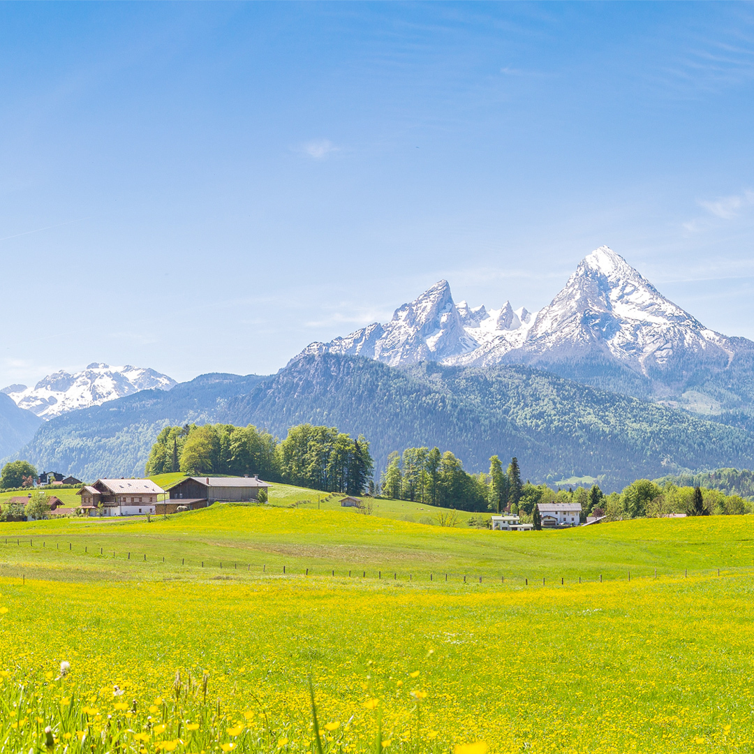 Berglandschaft mit Almwiesen, Häusern und Schneebergen.