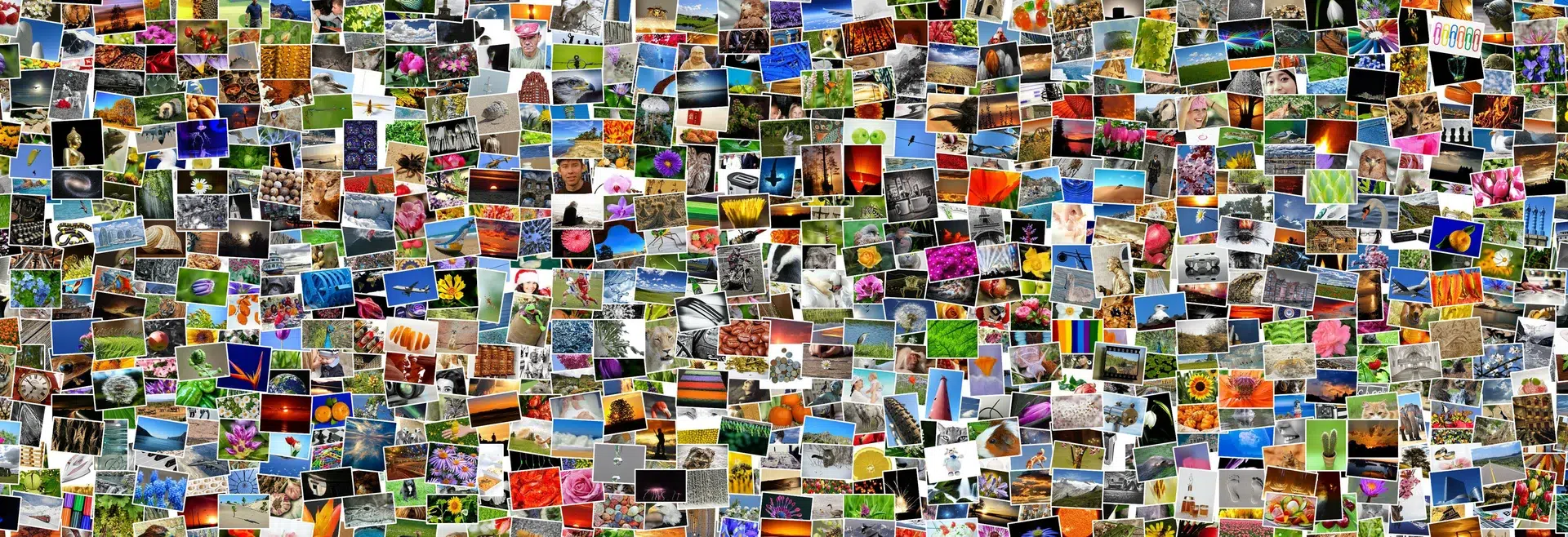 Vielfalt kreativer Fotografien und Bilder aus der Natur.