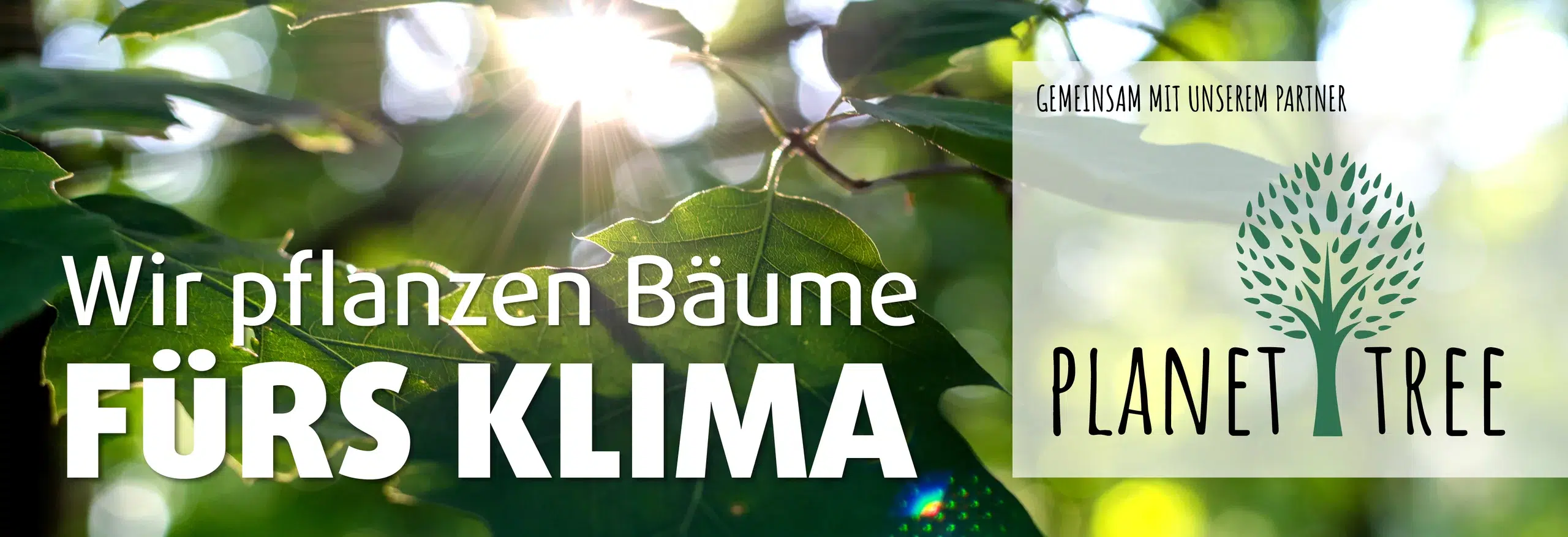 Grüne Bäume für gesundes Klima und Planet Tree.