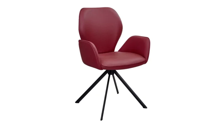 Esszimmerstuhl Leder 01