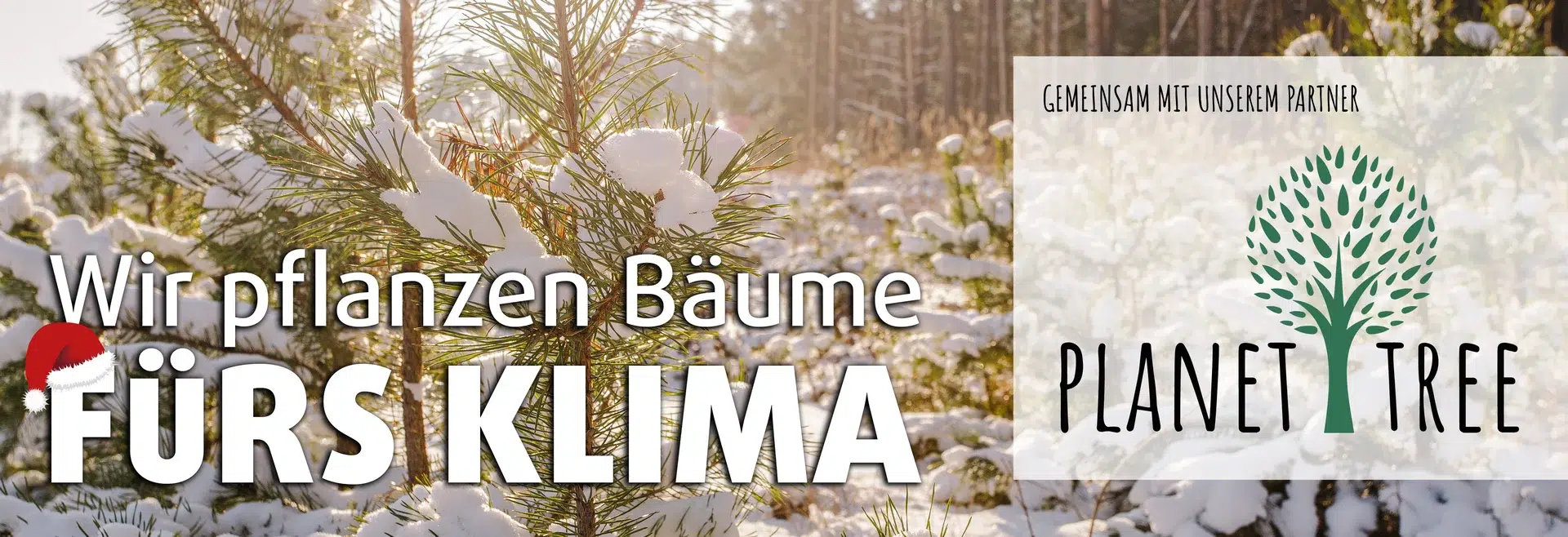 Verschneite Bäume und Pflanzen des Klimawandels.