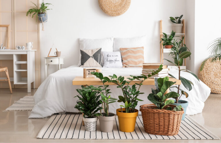 Gemütliches, grünpflanzenreiches Schlafzimmer mit Kissen und Decken.