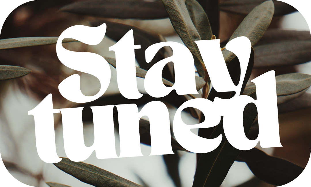 Pflanzen-Detailaufnahme mit modernem „Stay tuned!“-Schriftzug – Hinweis auf kommende Aktionen und Events von Polstermöbel Fischer.